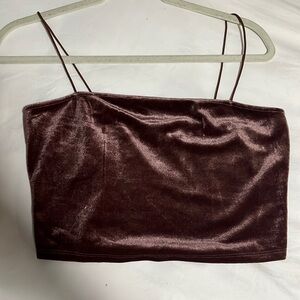 Bear Dance Chocolate Crop Top